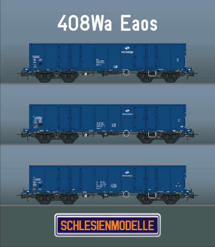 Weglarki-CARGO-408Wa-Eaos-schlesienmodelle-VI.jpg